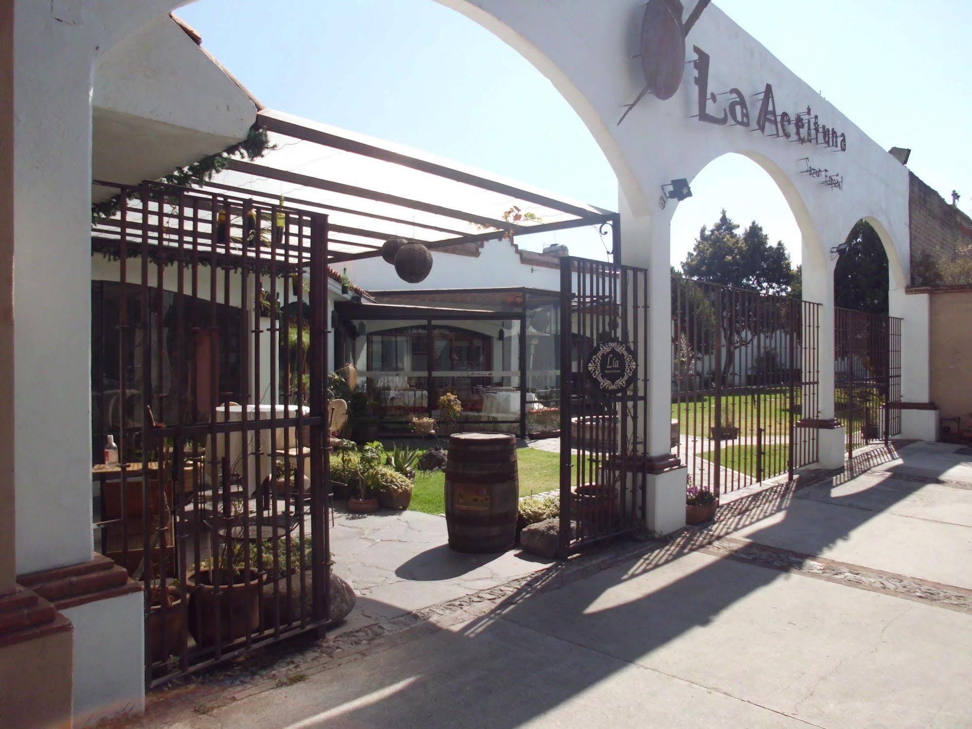 Hotel La Posada Apizaco Buitenkant foto
